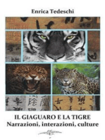 Il giaguaro e la tigre. Interazioni, narrazioni, culture