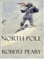 North Pole (Illustrated)