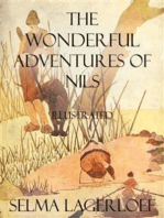 The Wonderful Adventures of Nils