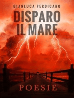 Disparo il mare