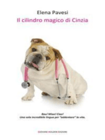 Il cilindro magico di Cinzia