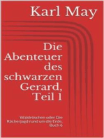 Die Abenteuer des schwarzen Gerard, Teil 1