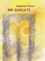 Mr Sungate