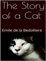 The Story of a Cat