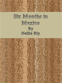 Six Months in Mexico by Nellie Bly - Book - Read Online