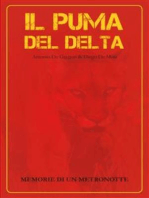 Il puma del delta