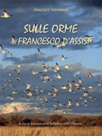 Sulle orme di Francesco d'Assisi