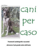 Cani Per Caso