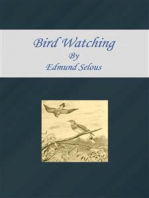 Bird Watching