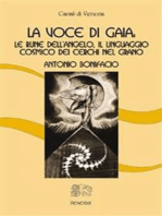 La Voce di Gaia: le rune dell’angelo, il linguaggio cosmico dei cerchi nel grano