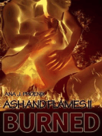 Burned: Ash and Flames, #2