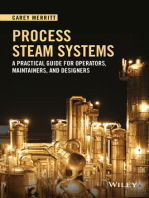 Process Steam Systems