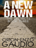 A New Dawn: The Districts, #3