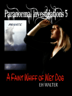 Paranormal Investigations 5