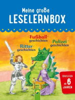 Meine große Leselernbox