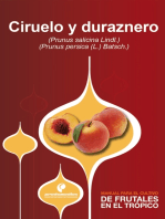 Manual para el cultivo de frutales en el trópico. Ciruelo y duraznero