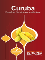 Manual para el cultivo de frutales en el trópico. Curuba