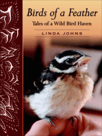 Birds of a Feather: Tales of a Wild Bird Haven