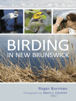 Birding in New Brunswick