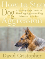 How to Stop Dog Aggression