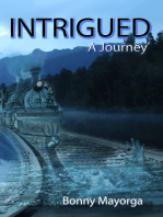 Intrigued: A Journey