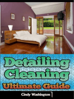 Detailing Cleaning