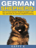 German Shepherd Training: How to Train German Shepherd Puppies with Tips & Tricks for German Shepherd Training