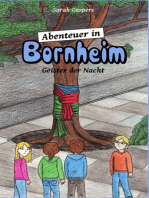 Abenteuer in Bornheim: Geister der Nacht