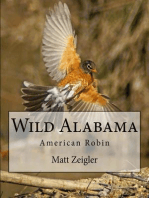 Wild Alabama