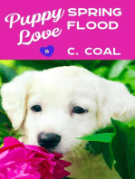 Puppy Love Spring Flood