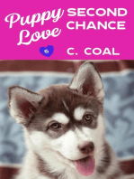 Puppy Love Second Chance