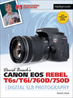 David Busch’s Canon EOS Rebel T6s/T6i/760D/750D Guide to Digital SLR Photography