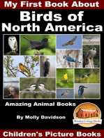 My First Book About the Birds of North America: Amazing Animal Books - Children's Picture Books