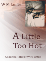 A Little Too Hot: Collected Tales of W M James