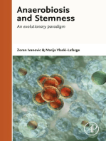 Anaerobiosis and Stemness: An Evolutionary Paradigm for Therapeutic Applications