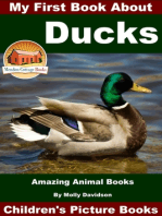 My First Book About Ducks