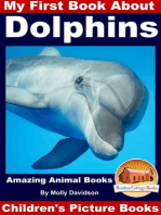 My First Book About Dolphins