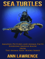 Sea Turtles: Amazing Pictures and Animal Facts Everyone Should Know
