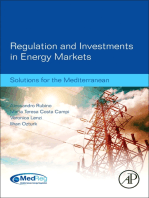 Regulation and Investments in Energy Markets: Solutions for the Mediterranean