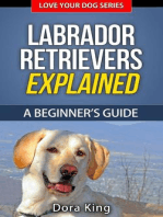 Labrador Retrievers Explained - A Beginner’s Guide: Love Your Dog Series, #4