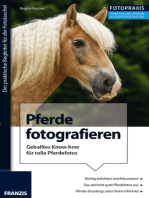 Foto Praxis Pferde fotografieren: Geballtes Know-how für das perfekte Pferde-Shooting
