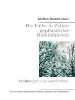 Die Liebe in Zeiten gepflasterter Hofeinfahrten: Erzählungen und Geschichten