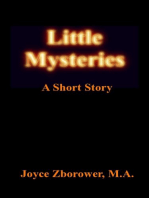 Little Mysteries -- A Short Story