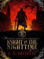 Knight in the Nighttime: Twinborn Chronicles, #1