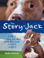 The Story of Jack: The Pit Bull Who Became a Hero