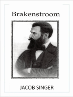 Brakenstroom