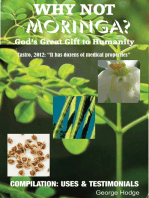 Miracle Moringa