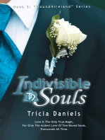 Indivisible Souls: Book 3 of the Bound4Ireland Series