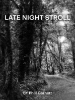 Late Night Stroll