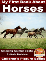 My First Book about Horses